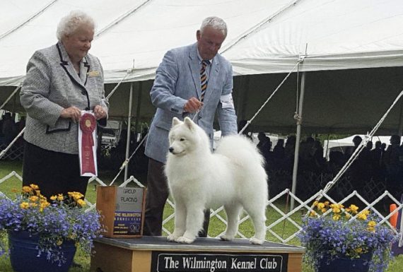 Wilmington Kennel Club USA